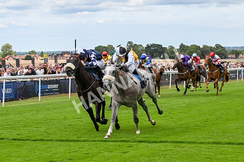 050725-Race 2-Mo Of Cairo-7518 - Race 2