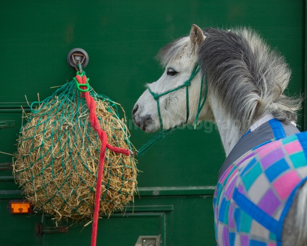 Troon Drive-6 - Troon Easter Monday Drive 2026