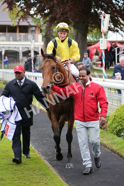yr11052022r1-33 - Race 1 1.50pm Sky Bet Race to the Ebor Jorvik Stakes