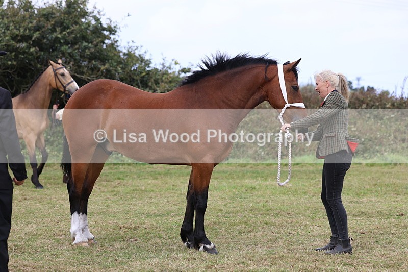 3E7A4430 - Class 15: Three Year Olds