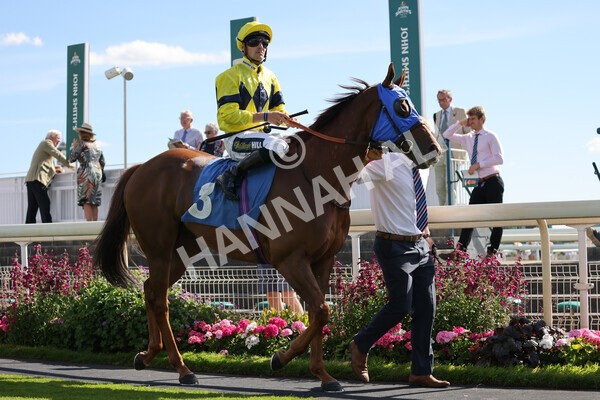 yr09072022r6-7 - Race 6 4.40pm John Smith's City Walls Stakes