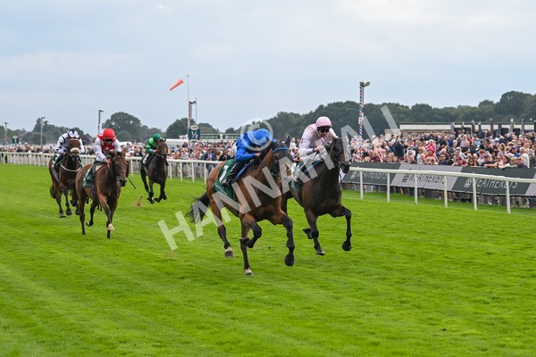 220825-Race 2-Trawlerman-7066 - Race 2 2.25pm Weatherbys Lonsdale Cup Stakes