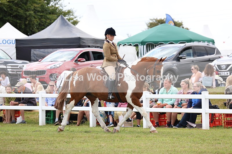 3E7A1841 - Class 10: Open Cob