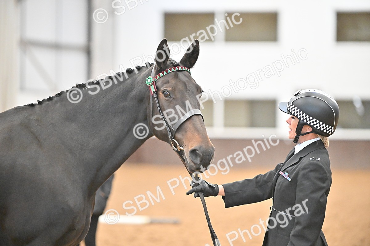 SBM_000091 - Class 4 - BSHA In Hand Show Cob