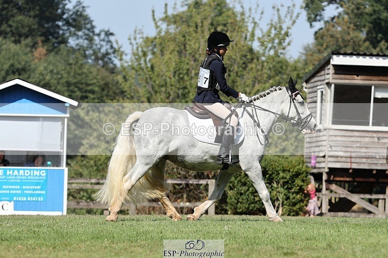 250823A-105711-27842 - Arena D