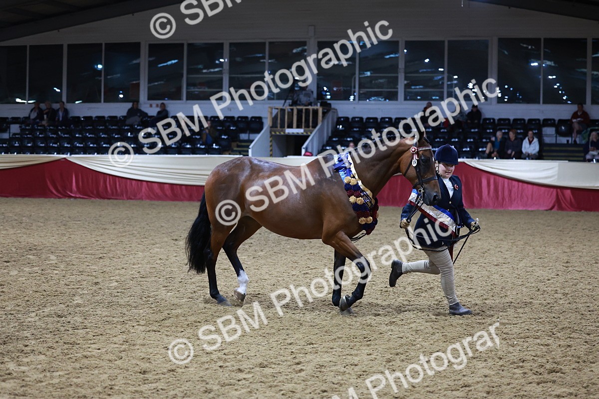 SBM_20370 - Class E - Best Turned Out Champ