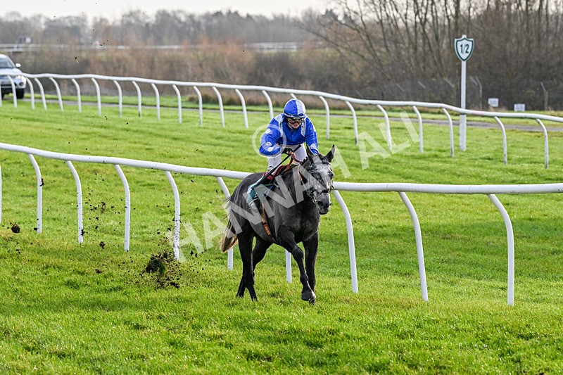 161225-Race 1-Born In The West-7862 - Race 1