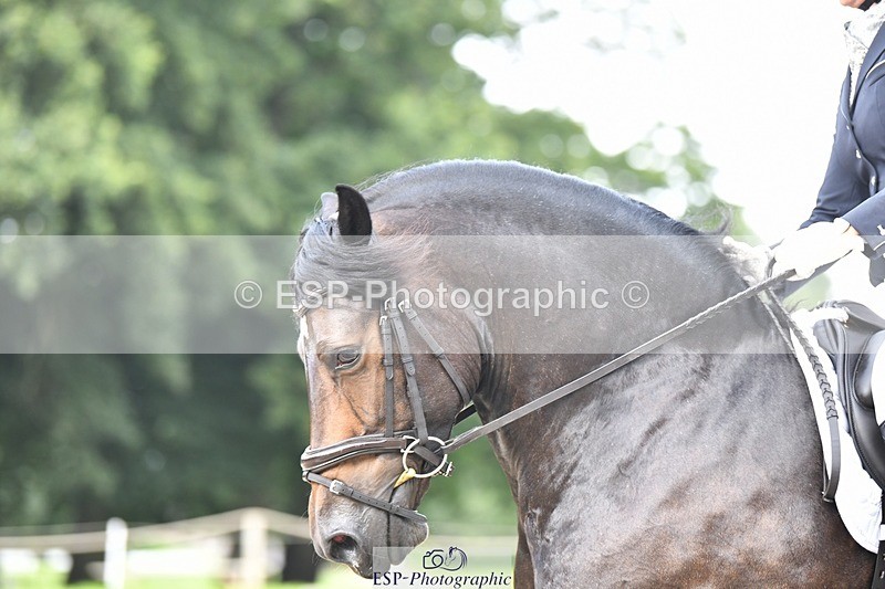 230812-105521-03499 - Cls 6 Novice Silver 10.30 to 11.55 break