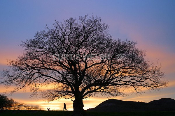 74 - SCOTTISH BORDERS