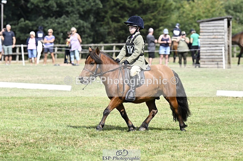 250822A-115516-22433 - DR 11.00 to 12.00