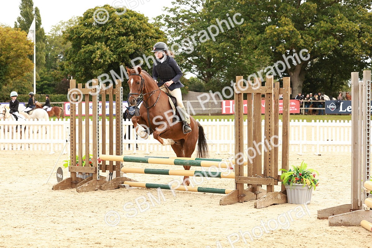 SBM_63688 - J12 - Junior Pony 55cm Championship
