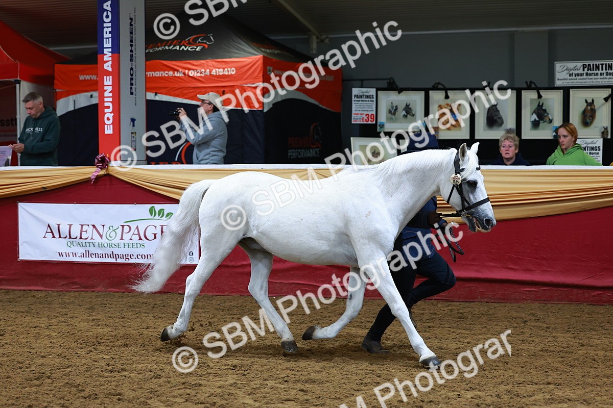 SBM_15999 - Class 901 - Sup Final - IH Diamond