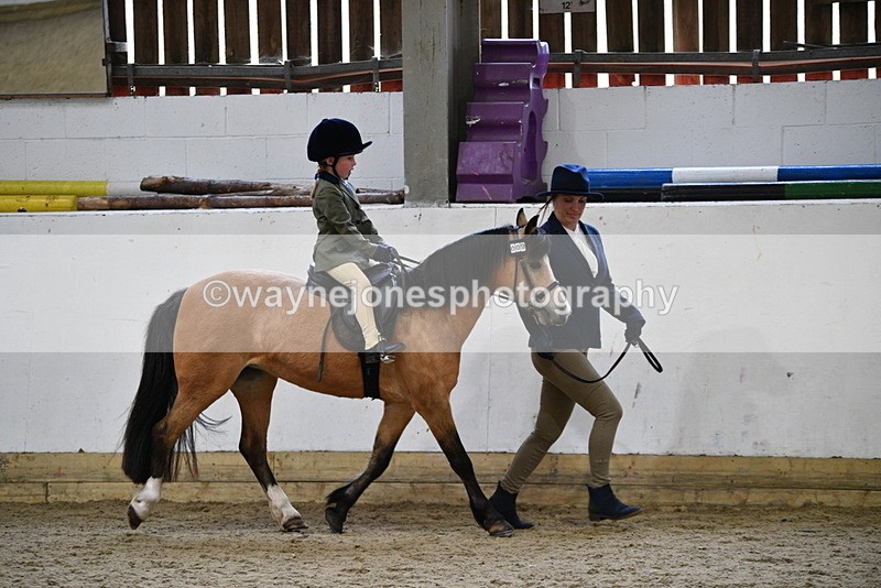 WJ5_6548 - Class 10 Childs Pony