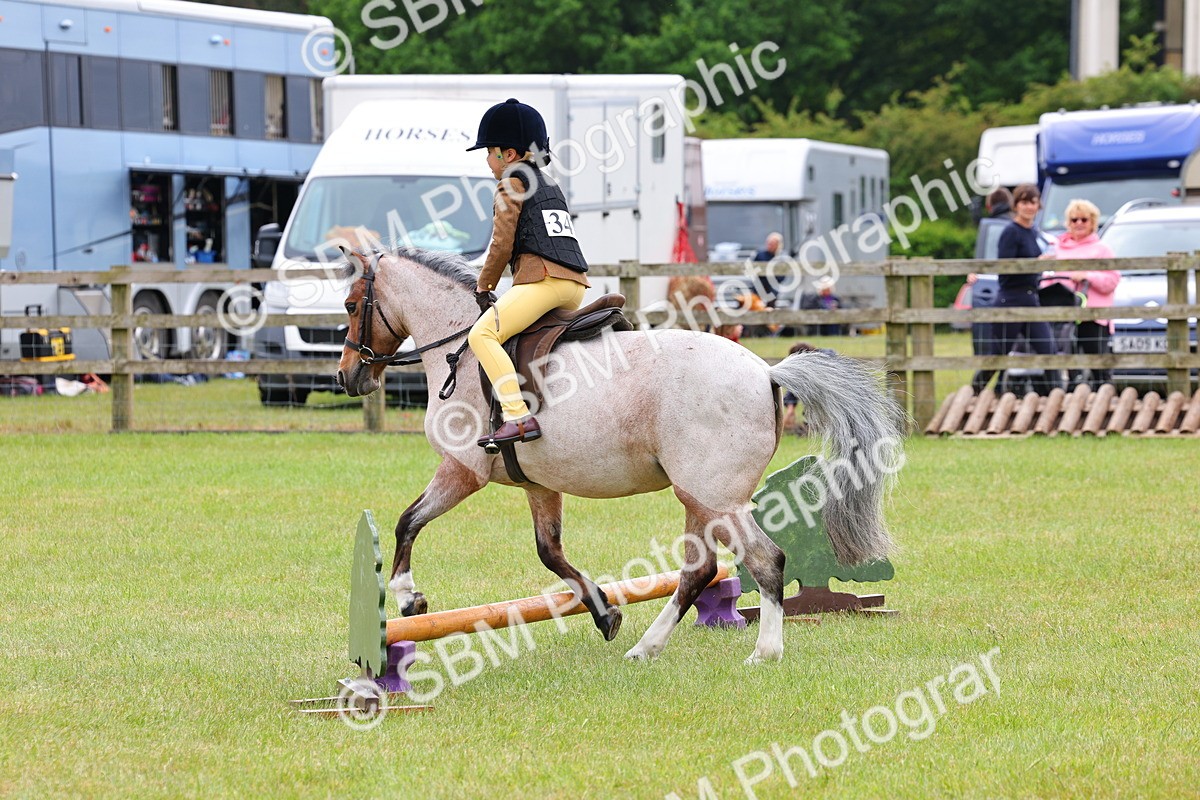 SBM_08595 - Class 42-43 - LIHS BSPS Heritage Working Sports Pony