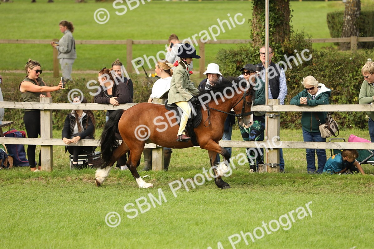 SBM_71541 - S41 - Ridden Equitation (Best Rider)