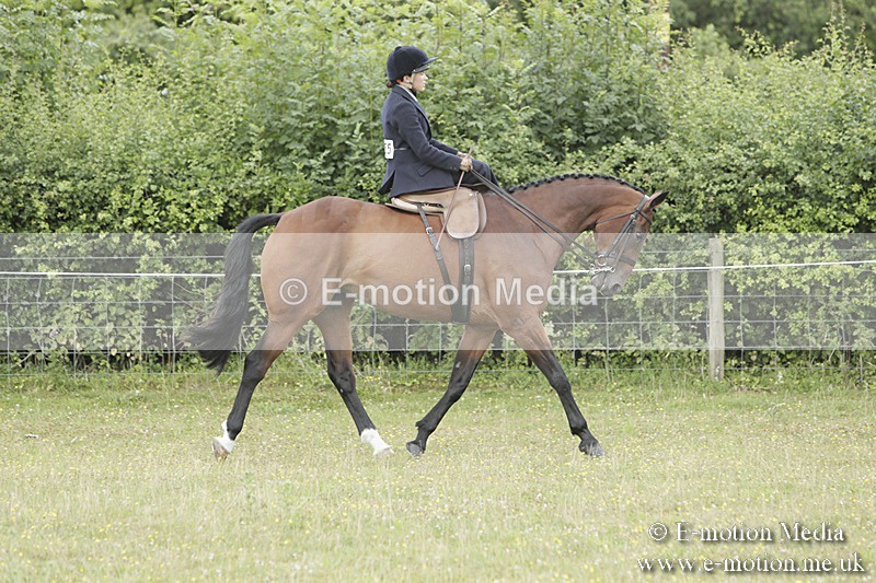 BVR160717-2347 - Side Saddle Classes 16/07/17