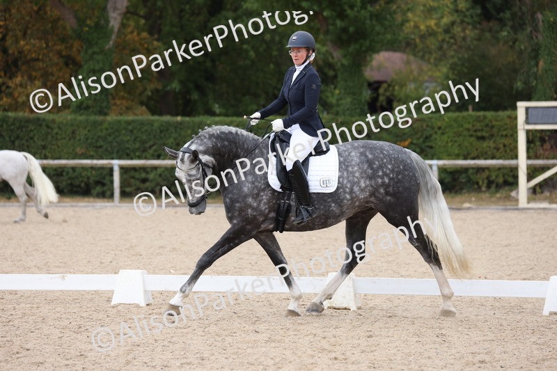 20250820-0948 - Class 16 - Novice 5