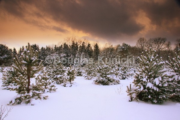 Winters Grip - Fall and Winter