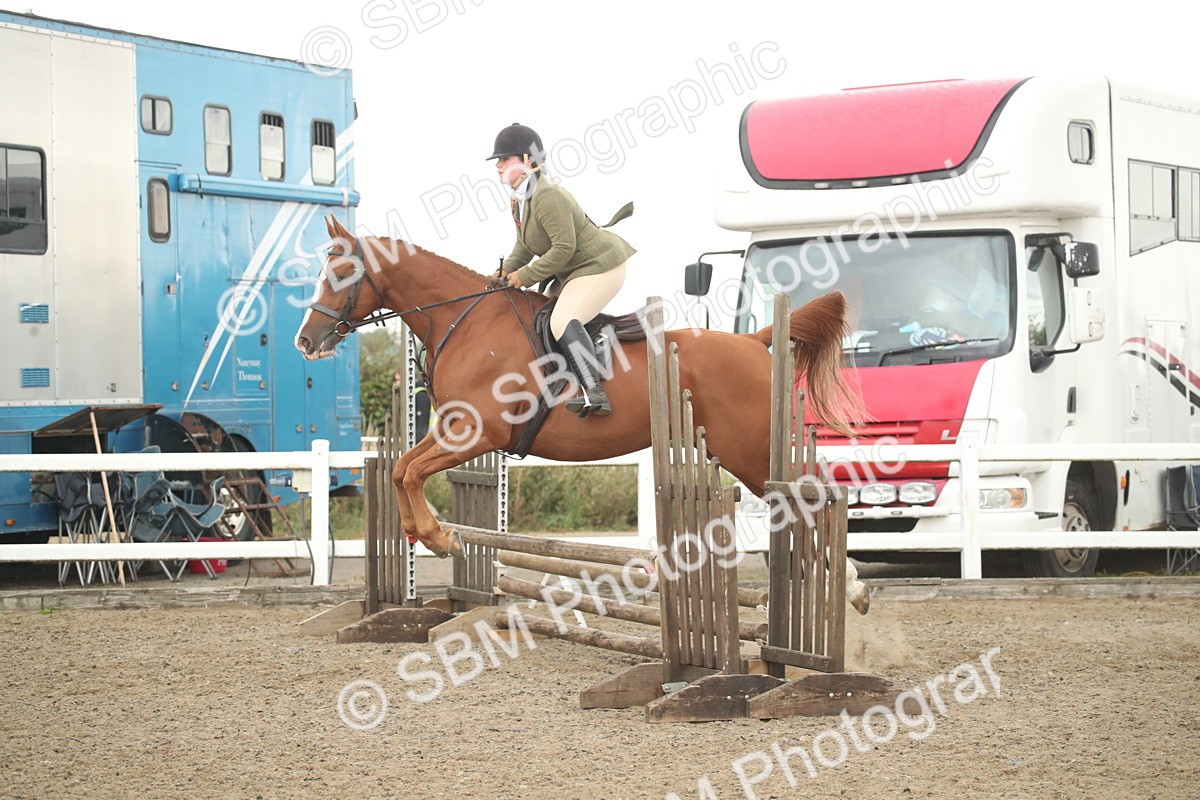 SBM_18460 - Class 510a - Working Veteran 90cm (15-19)