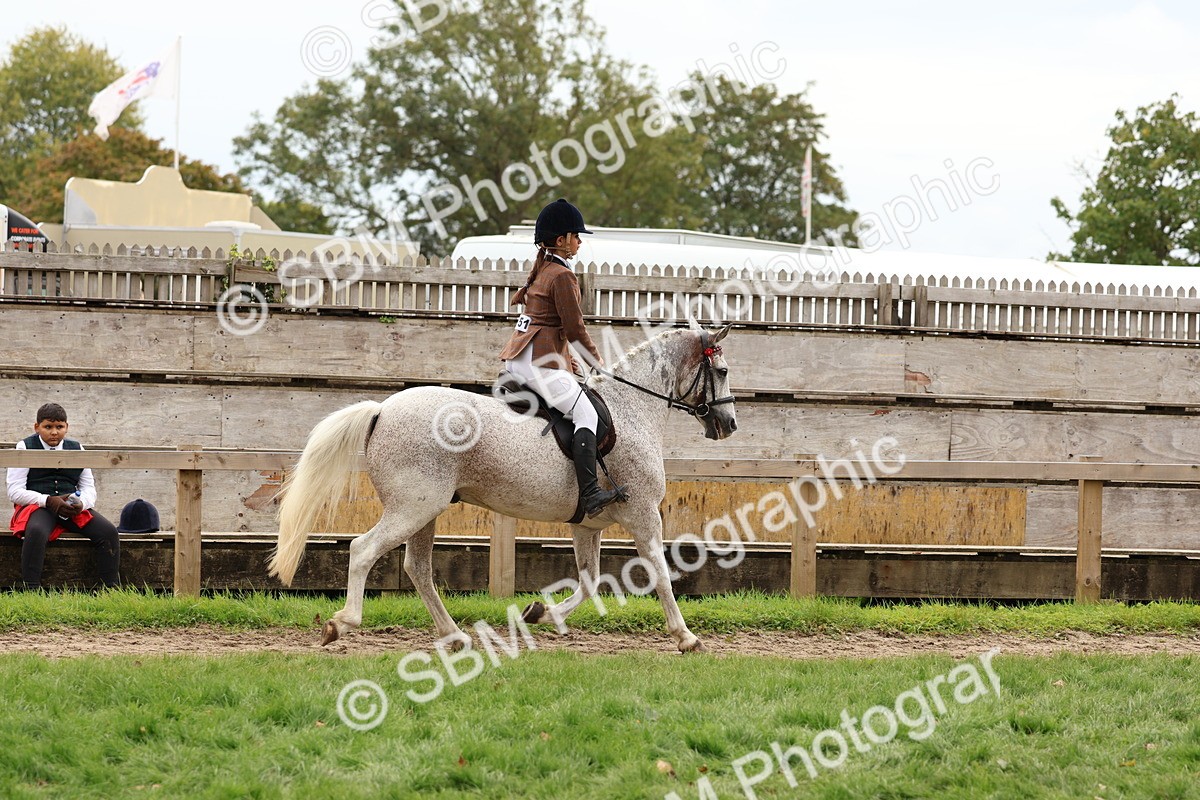 SBM_64419 - S58 - Coloured Pony Ridden