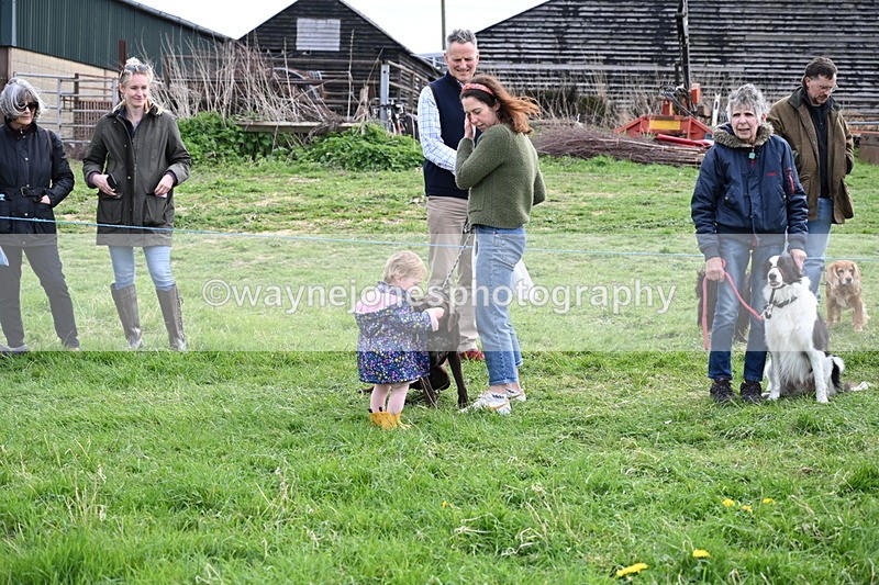 WJ6_8541 - Class 6 Best Rescue