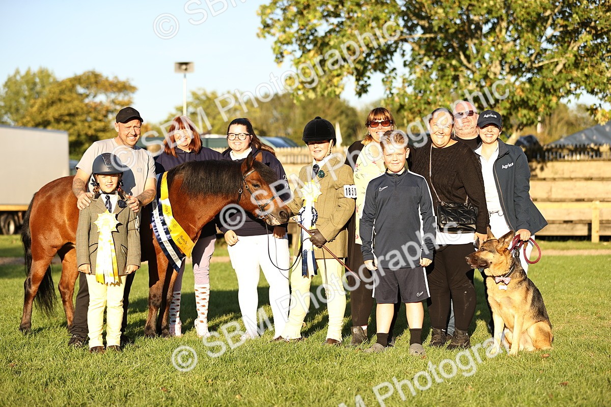 SBM_30160 - Novice & Newcomers Supreme Championship