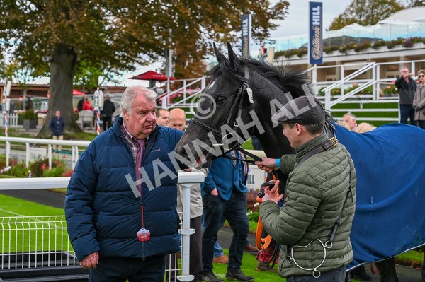 131023-Race 1-Pilgrim-7565 - Race 1 2.05pm William Hill EBF Novice Stakes