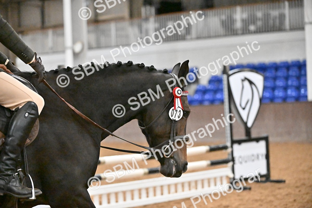 SBM_002923 - Class 36 - BSHA Style and Performance