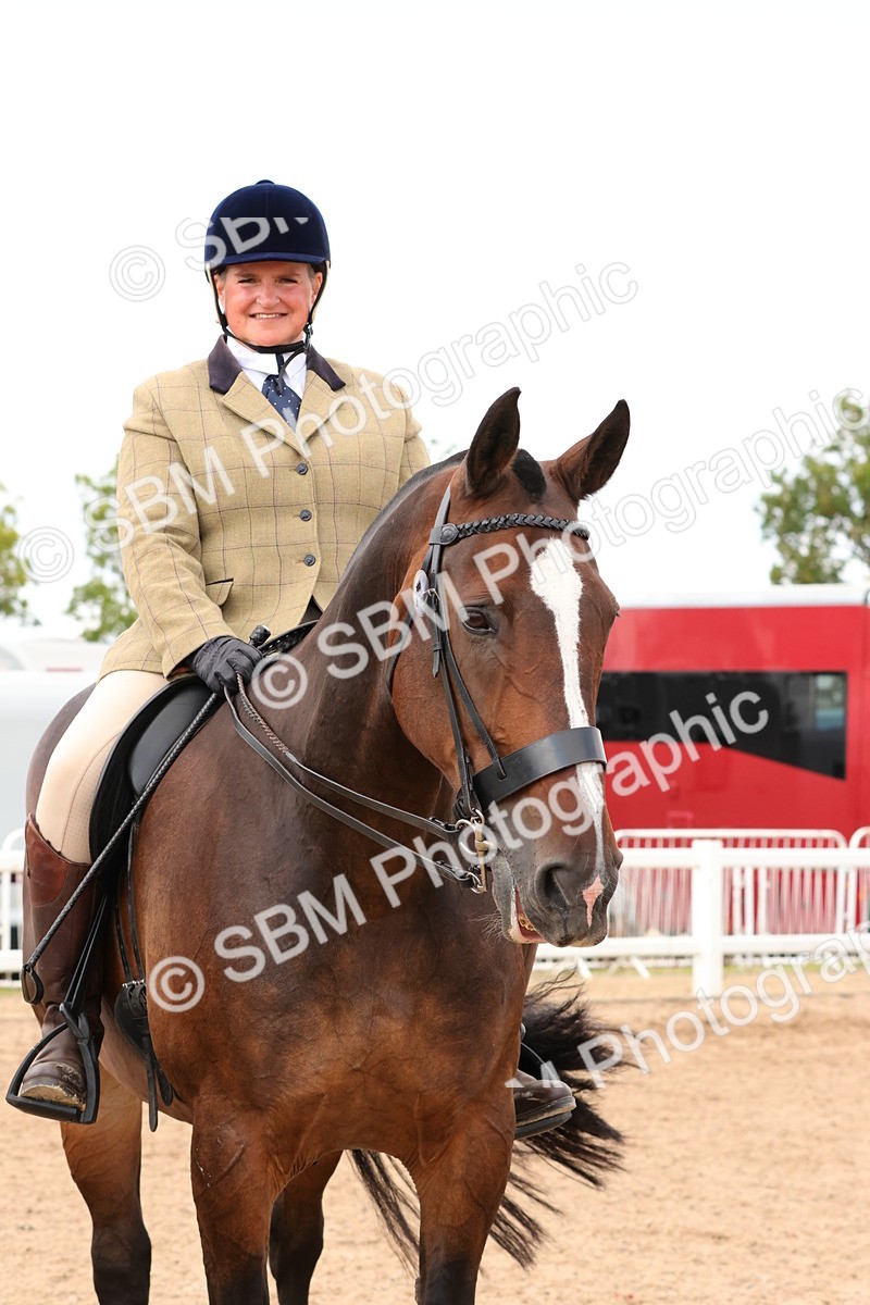 SBM_15511 - Class 214 - Ridden Show Cob