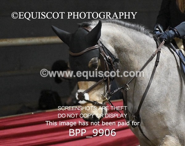 BPP_9906 - CLASS 4 50CM