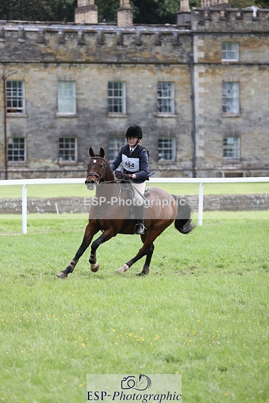 230805-164300-05496 - SJ 16.30 to End