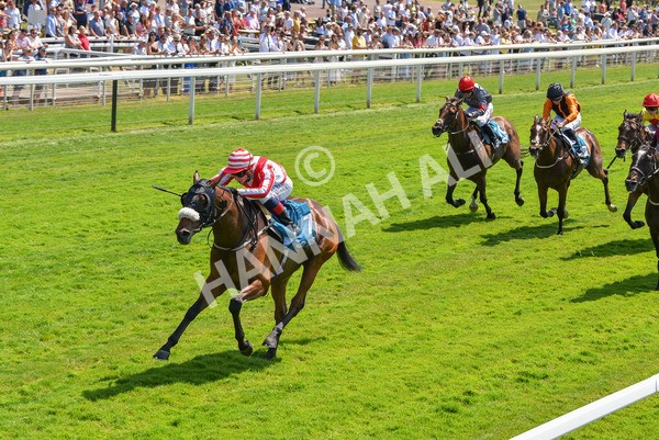 160623-Race 1-Menelaus-6151 - Race 1 1.50pm Andy Thornton Hospitality Furniture Apprentice Handicap