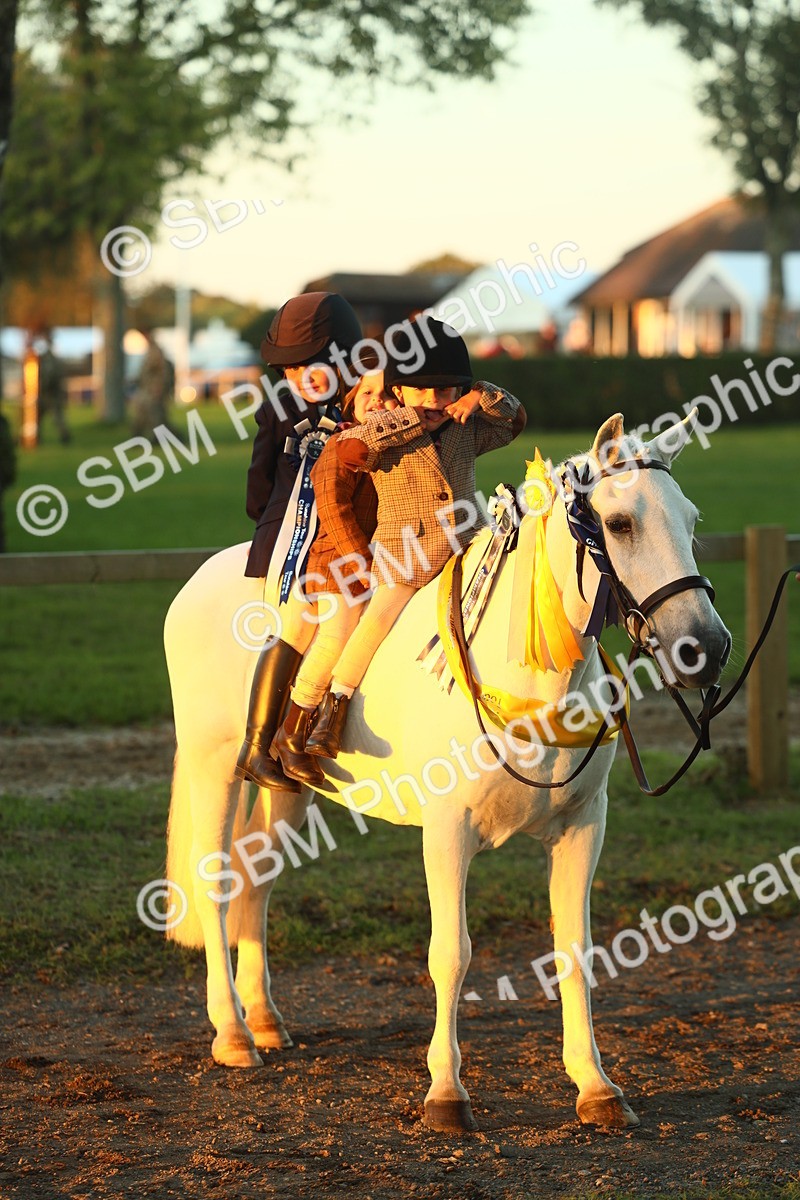 SBM_56743 - Fun & Versatile Supreme Championship