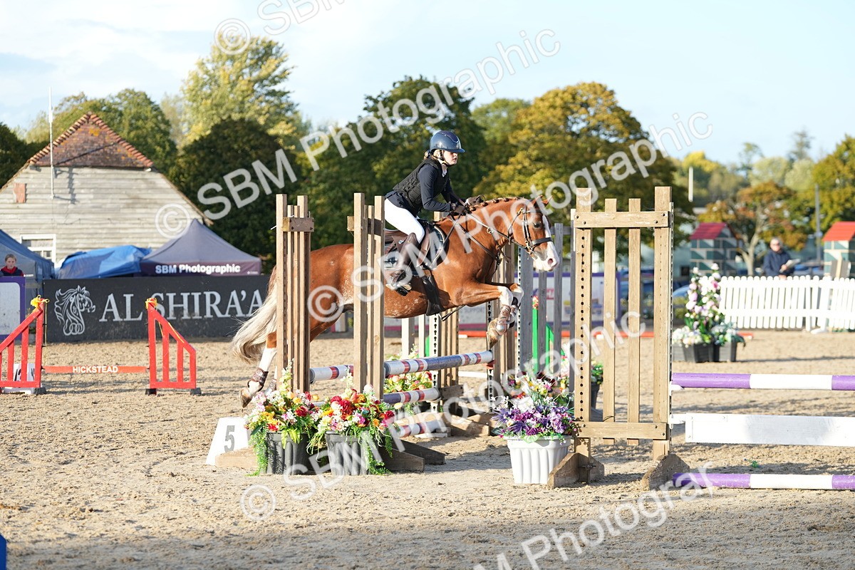 SBM_29417 - J44 - Horse & Hound Open 70cm