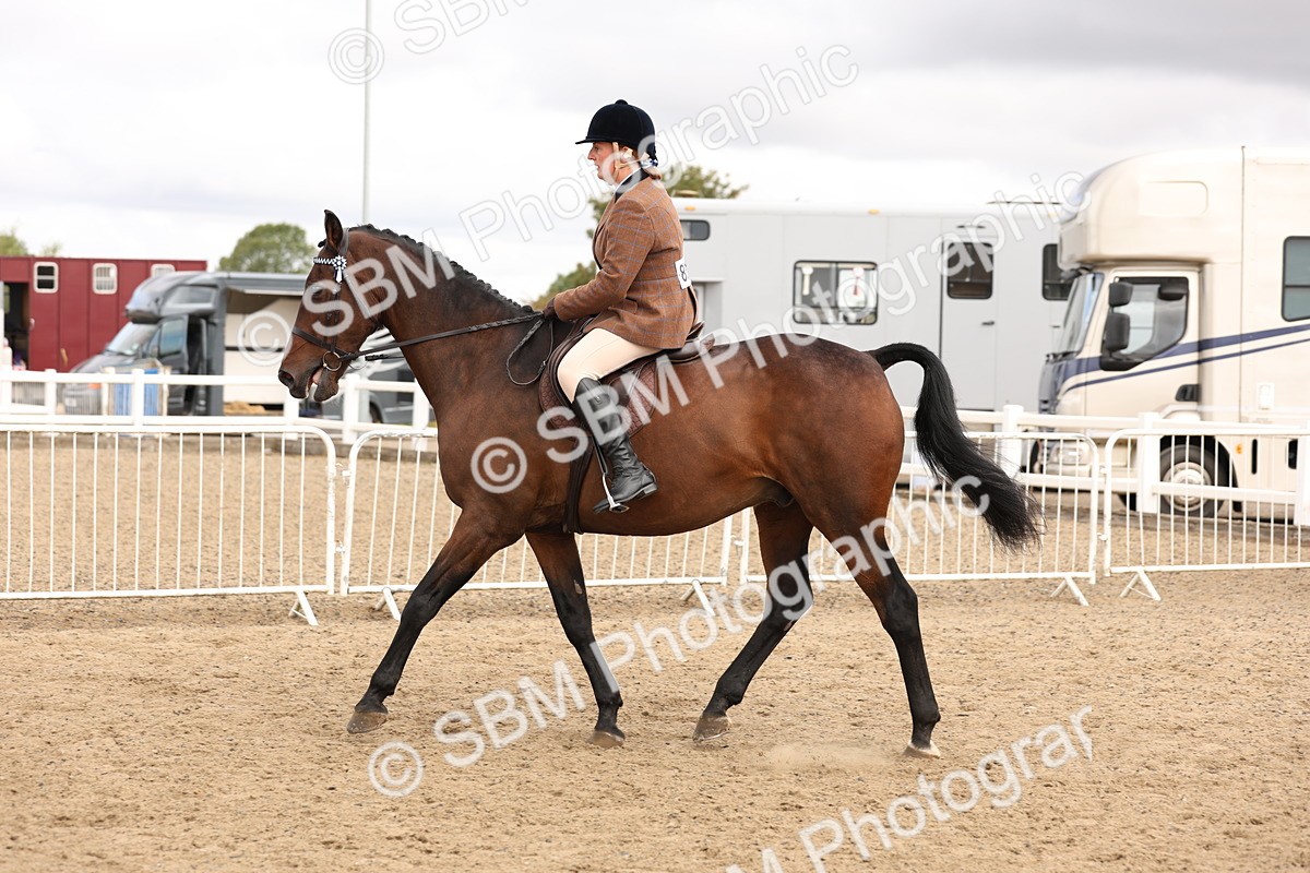 SBM_02861 - Class 53 - Ridden Competition Horse/Pony