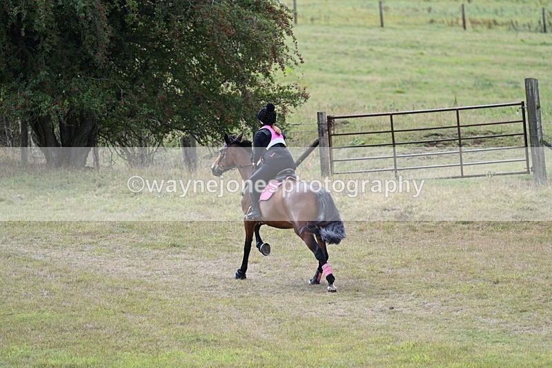 WJ7_6103 - Time 11:50 to 12:09