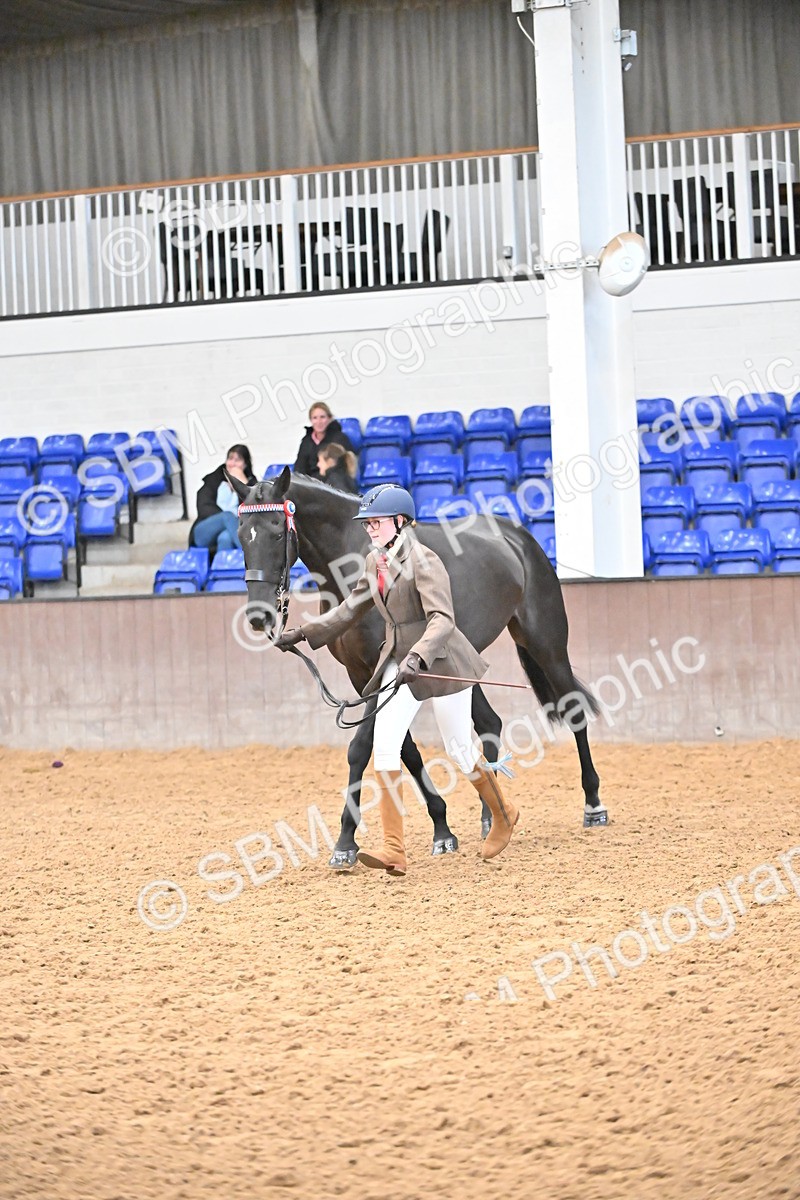 SBM_000235 - Class 7 - ROR Tattersalls In Hand