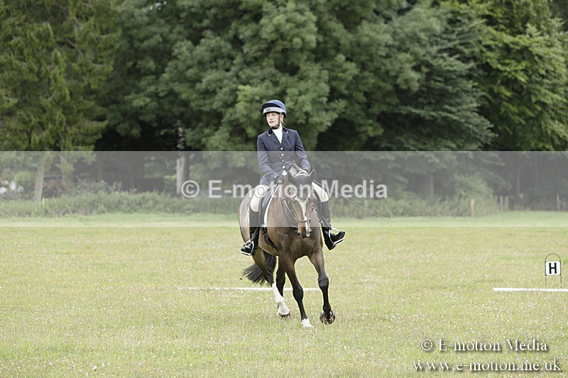 BVR160717-494 - Class 1 & 23a Dressage 16/07/17