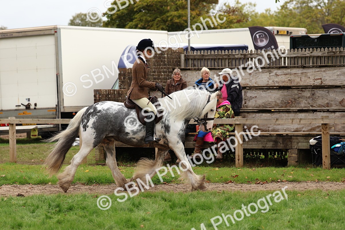 SBM_64407 - S58 - Coloured Pony Ridden