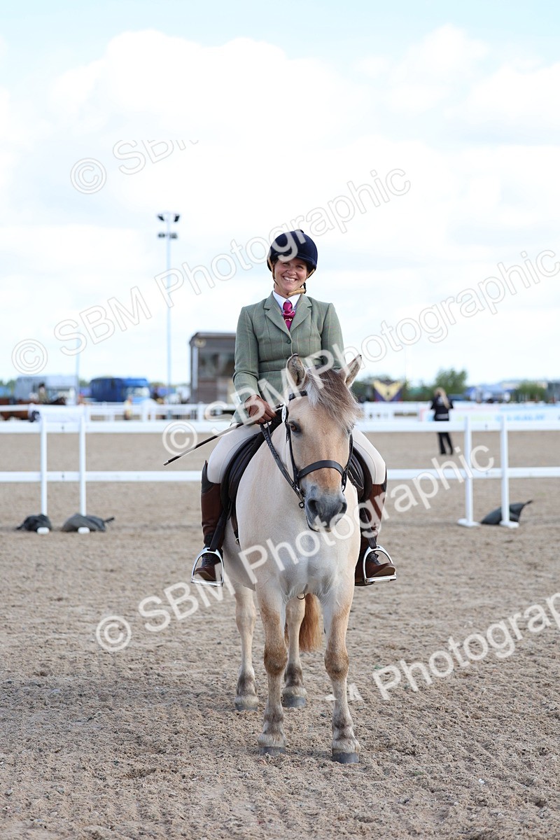 SBM_10887 - Class 305 - Ridden Foreign Breeds - Pure Bred
