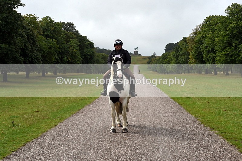 TT3_8267 - Time at Crossing 10:16 to 11:38