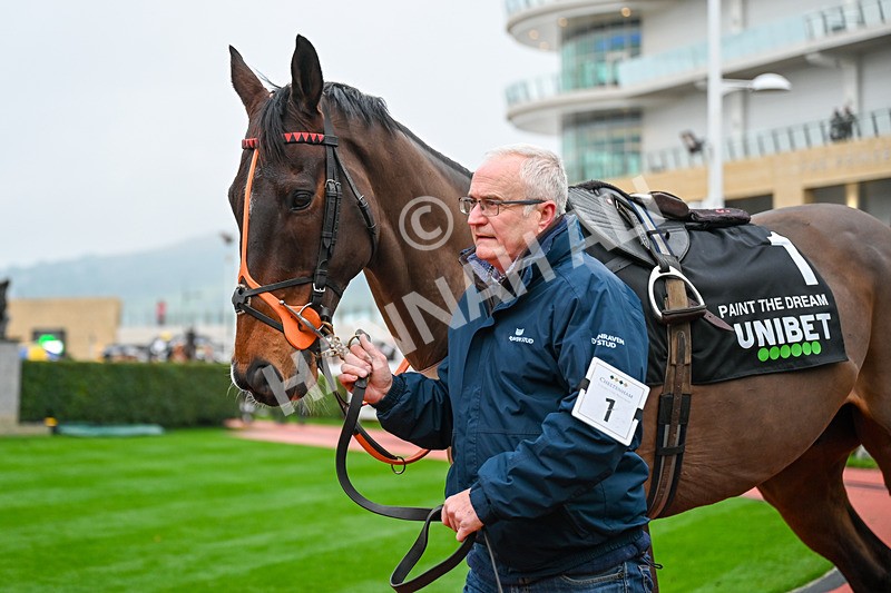 131224-Race 5-Paint The Dream-9794 - Race 5