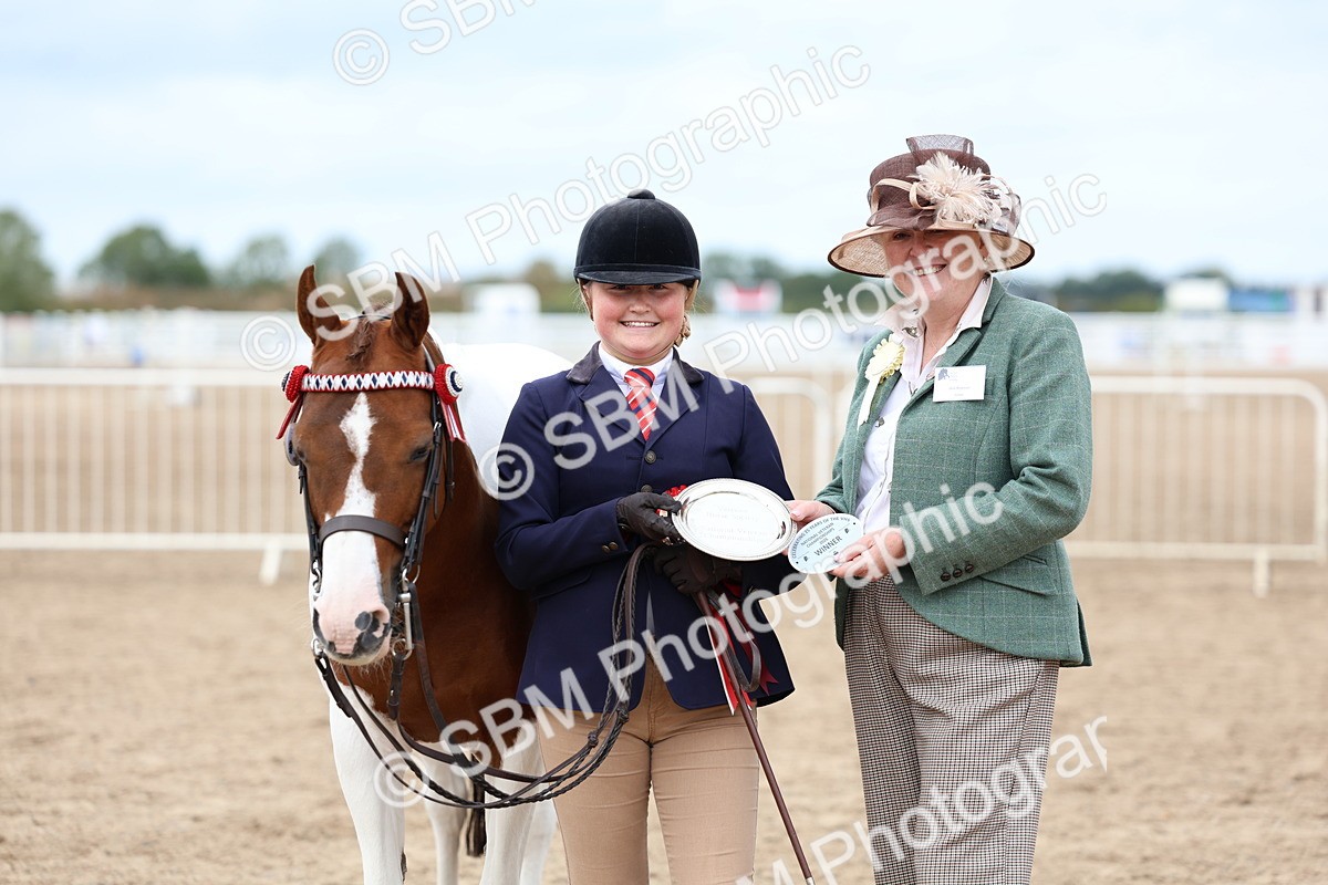 SBM_05978 - Class 29 - IH Veteran Pony