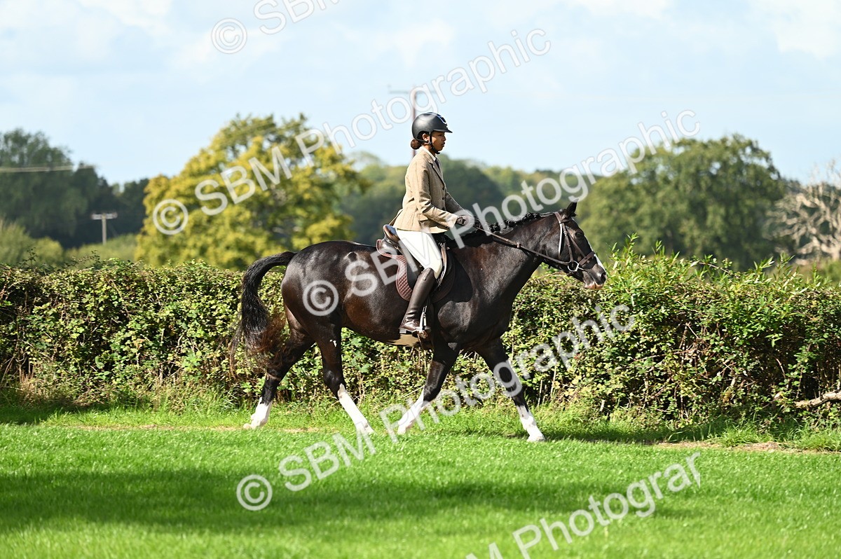 SBM_01916 - S2 - TSR Ridden Horse Showing
