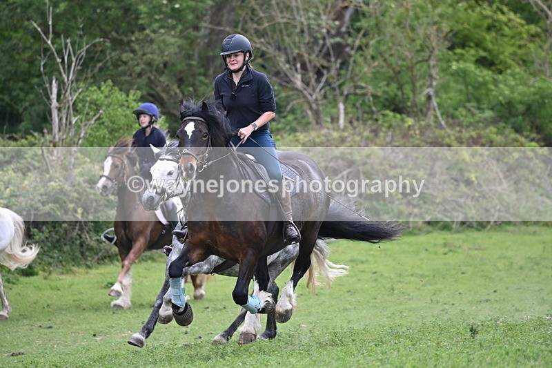 WJ6_3309 - A camera