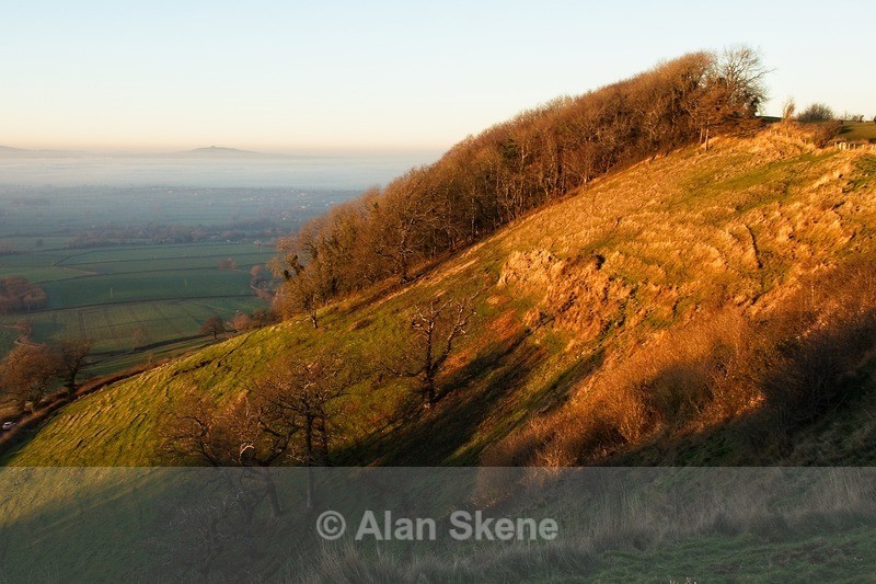 DSC02284 - Gloucestershire