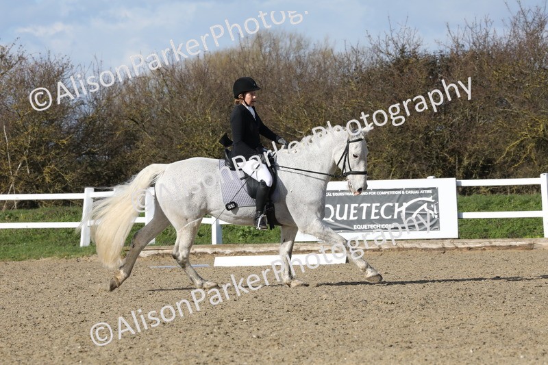 20260314-5119 - CT6 - Elementary 1