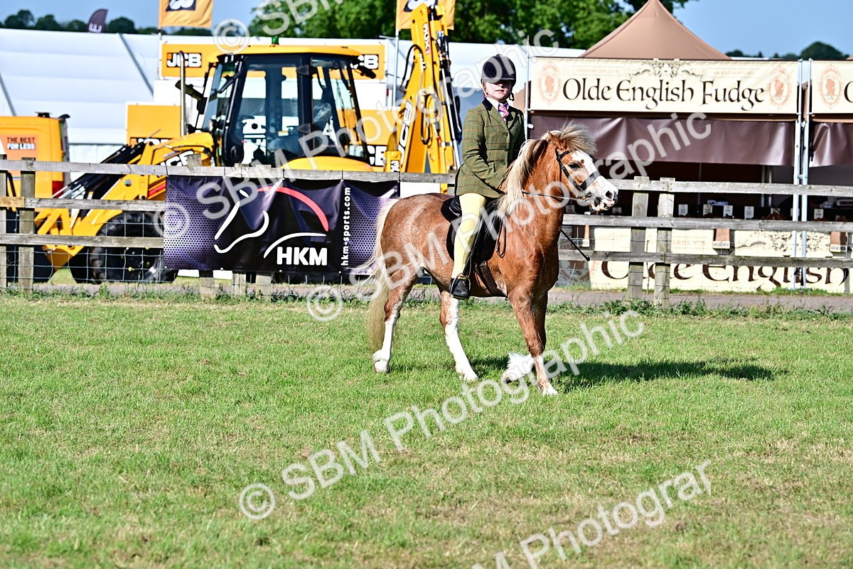 SBM_19851 - Class 103 - 105 - TSR Ridden Amateur of the Year Plaited Ponies