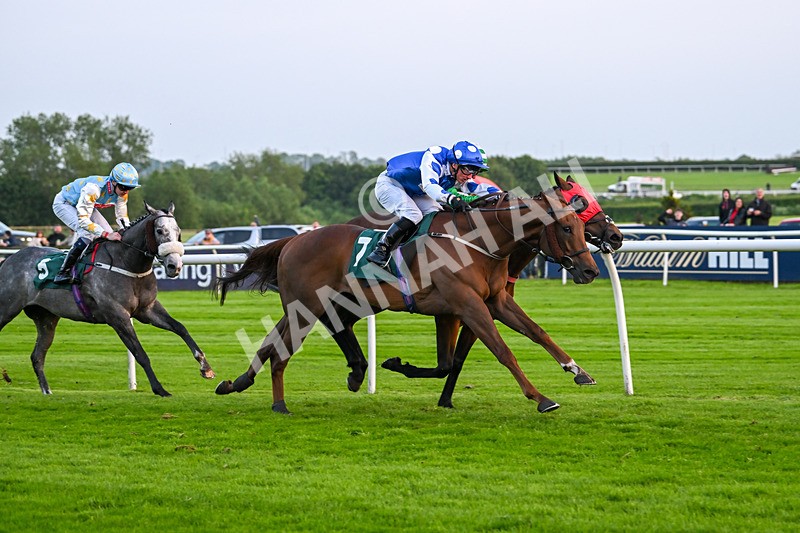 310524-Race 6-Mister Sox-9061 - Race 6