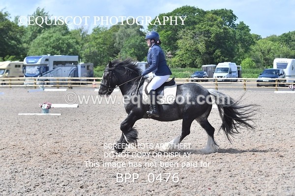 BPP_0476 - MFS NOVICE